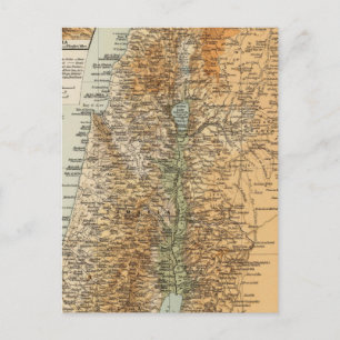 Palestine 3 postcard