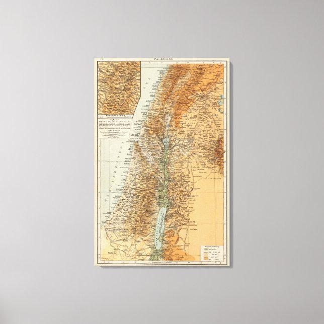 Palestine 5 canvas print (Front)