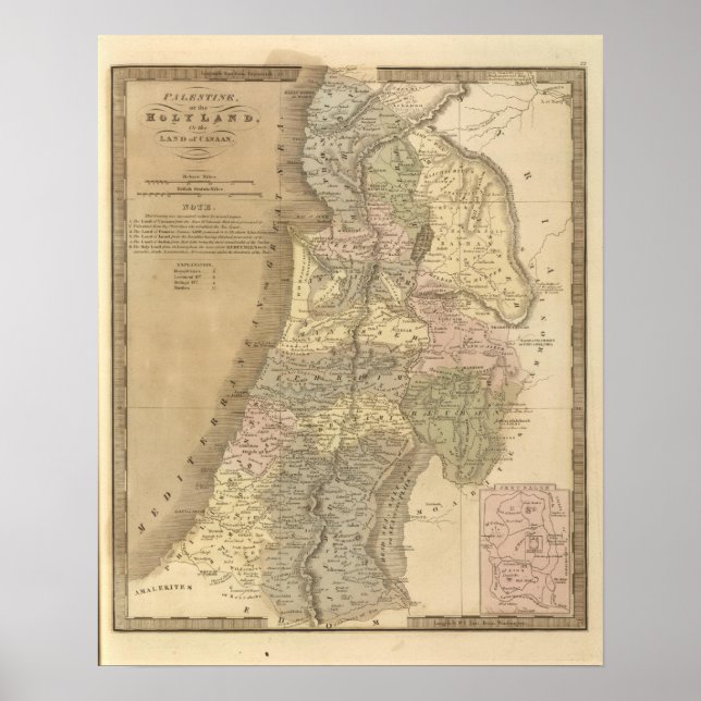 Palestine 5 poster (Front)