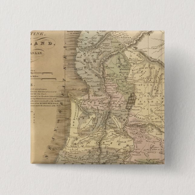 Palestine 6 pinback button (Front)