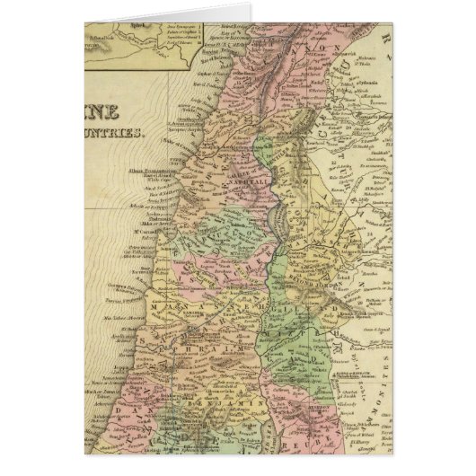 Palestine & Adjacent Countries Cards (Front)
