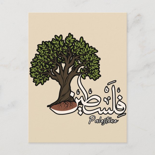 Palestine Arabic word with Palestinian Olive Tree  Postcard (Front)