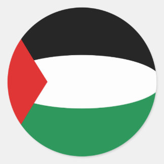 Palestine Fisheye Flag Sticker