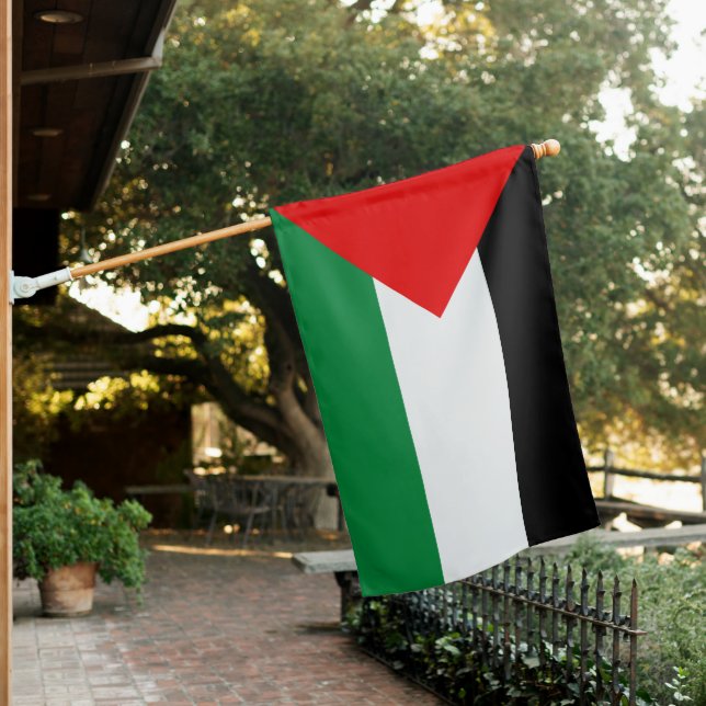Palestine Flag (In SItu)