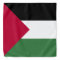 Palestine Flag