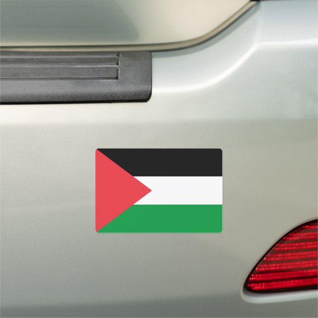 Palestine flag car magnet (In Situ)