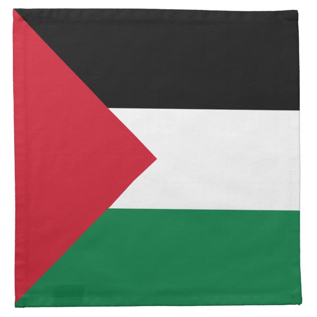 Palestine Flag Cloth Napkin (Front)
