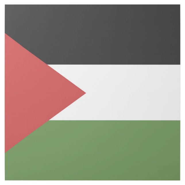 Palestine flag gallery wrap (Front)