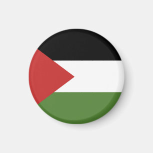 Palestine flag magnet