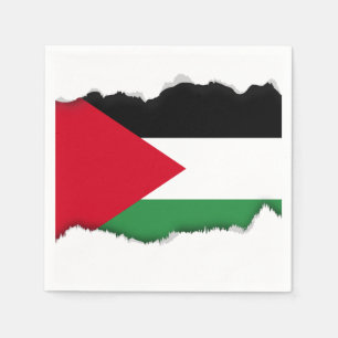 Palestine Flag Napkins