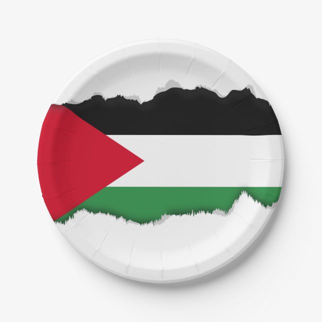 Palestine Flag Paper Plates (Front)