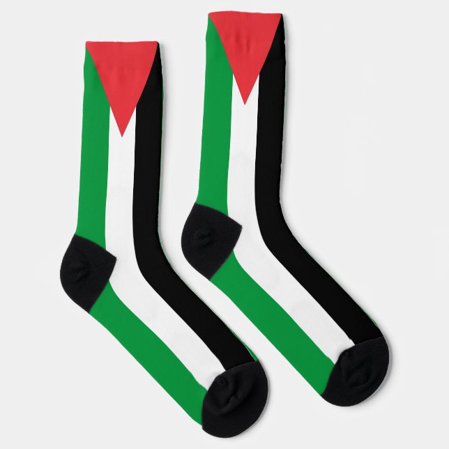 Palestine flag patriotic modern socks (Right)