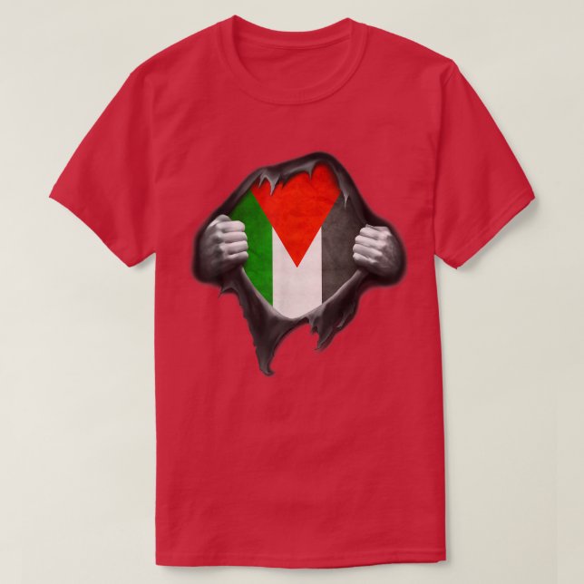 Palestine Flag T  T-Shirt (Design Front)