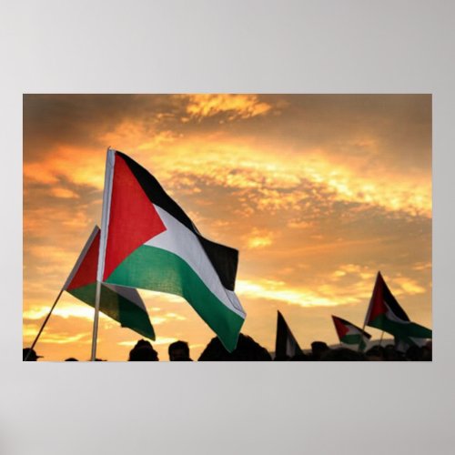 Palestine Flag View Poster