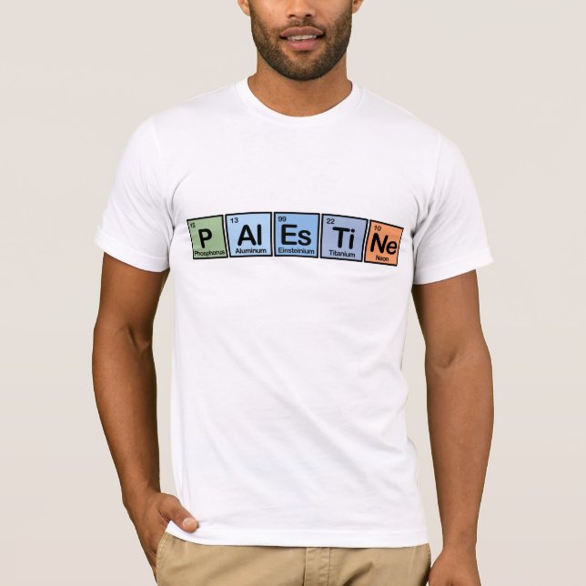 Palestine made of Elements T-Shirt (Front)