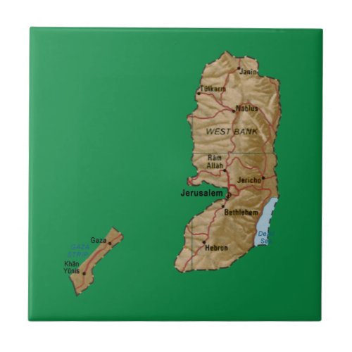 Palestine Map Tile