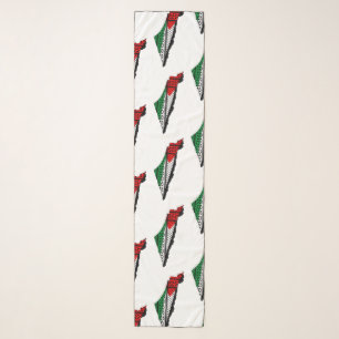 Palestine Map whith Flag and Keffiyeg Pattern Scarf