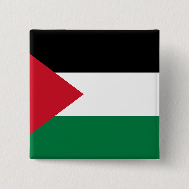 Palestine, Palau flag Pinback Button (Front)