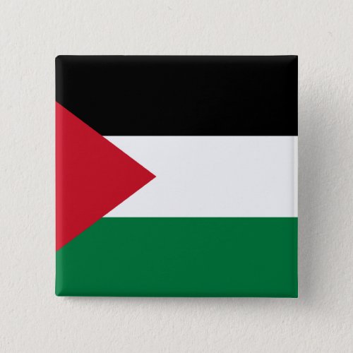 Palestine Palau flag Pinback Button