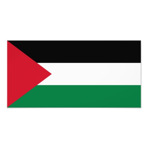 Palestine  Palestinian Flag Photo Print