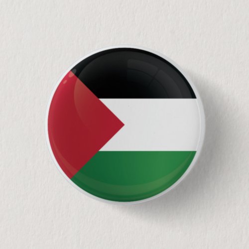 Palestine  Round Icon Flag Button