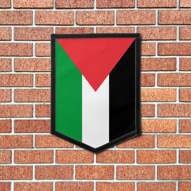 Palestine state flag pennant (Insitu 1)
