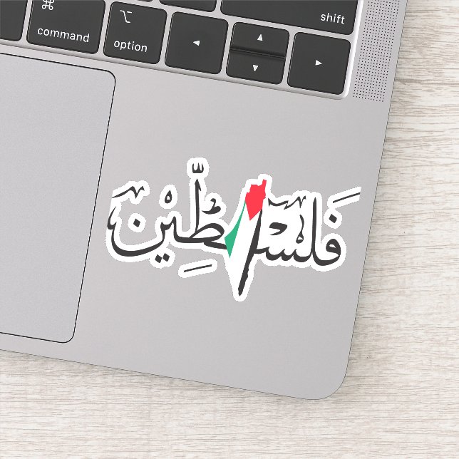 Palestine  sticker (Detail)