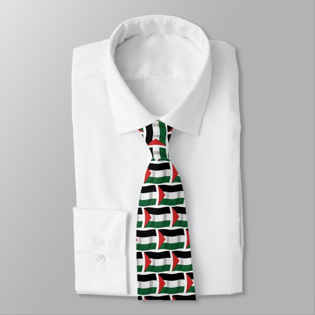 Palestinian Authority Flag Tie (Tied)