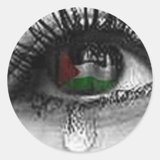 Palestinian Eye Classic Round Sticker