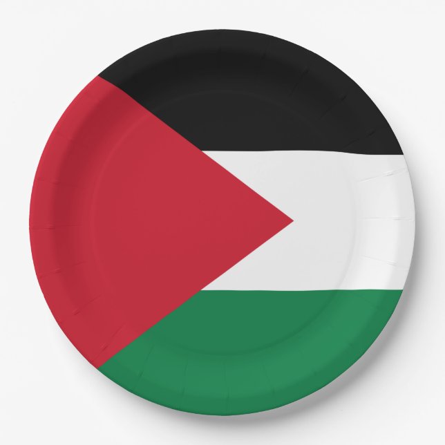 Palestinian Flag (Palestine) Paper Plates (Front)