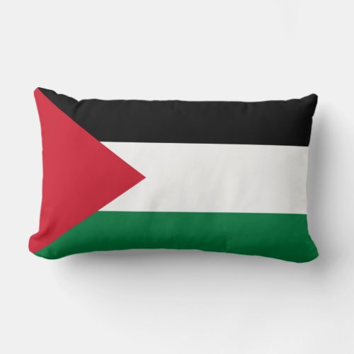 Palestinian flag pillow
