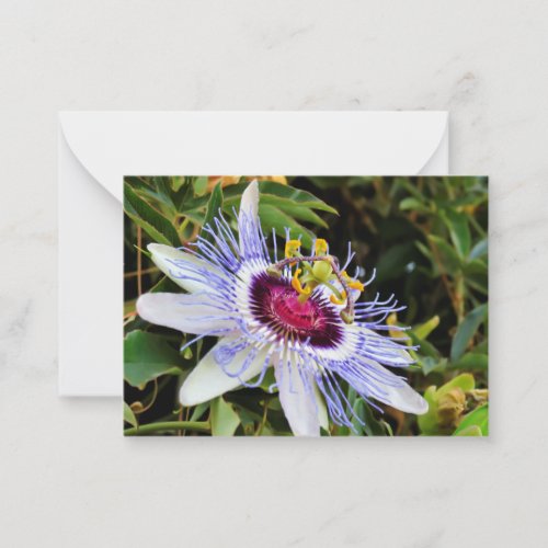 Palestinian Flower Flat Note Card