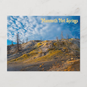 Palette Springs Sunrise Mammoth Hot Springs Postcard