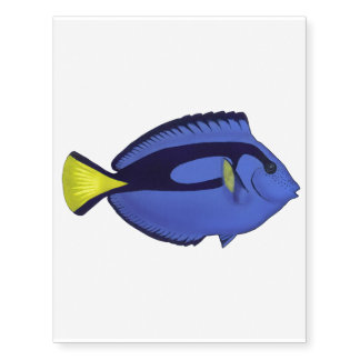 Palette surgeonfish temporary tattoo