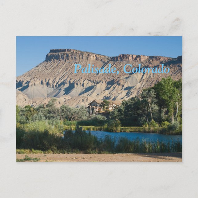 Palisade, Colorado Postcard (Front)