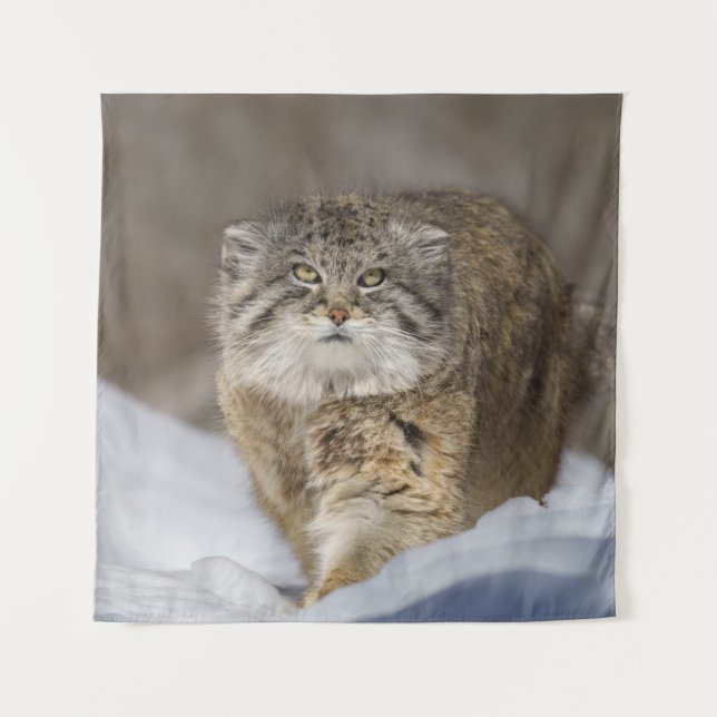 Pallas Cat in the snow Tapestry (Front)