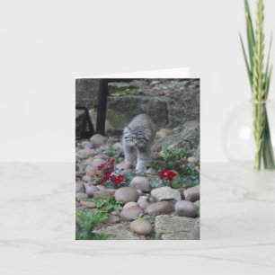 Pallas Cat (Manul) Amongst the Flowers - Greetings Card