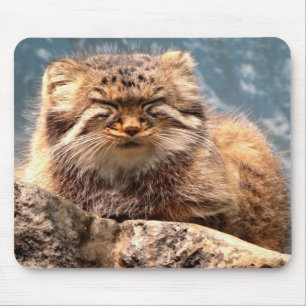 Pallas Cat Mouse Pad