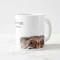 Pallas's cat, peeping wildcat