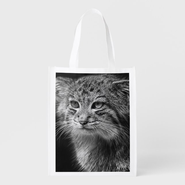 Pallas's cat portrait reusable grocery bag (Front)