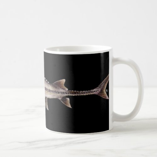 Pallid Sturgeon _ Scaphirhynchus albus Coffee Mug