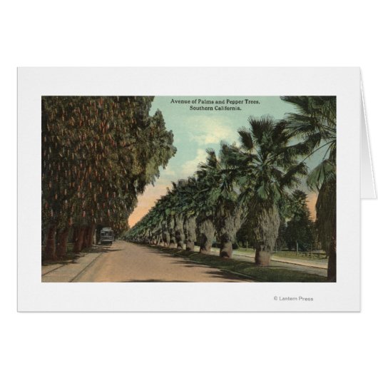 Palm and Pepper Trees Alongside Avenue Cards (Front Horizontal)