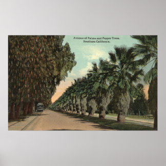 Palm and Pepper Trees Alongside Avenue Poster