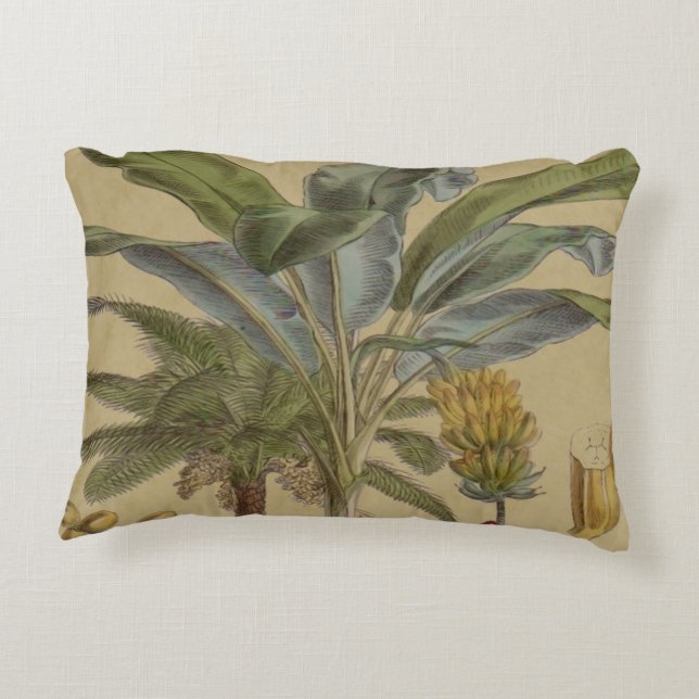 Palm Antique Tropical Fruit Botanical Art Accent Pillow (Back)