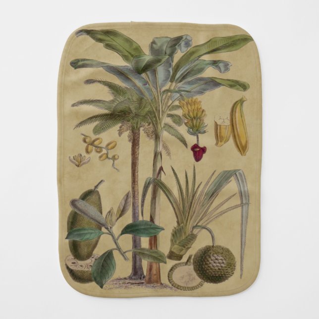 Palm Antique Tropical Fruit Botanical Art Baby Burp Cloth (Front)