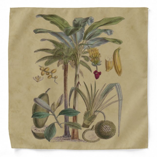 Palm Antique Tropical Fruit Botanical Art Bandana (Front)