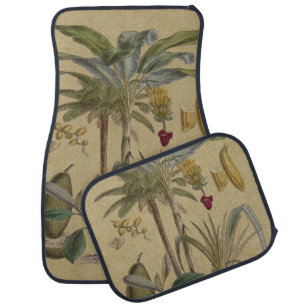 Palm Antique Tropical Fruit Botanical Art Car Floor Mat