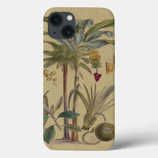 Palm Antique Tropical Fruit Botanical Art Case-Mate iPhone Case (Back)