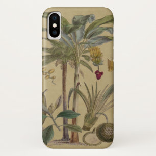 Palm Antique Tropical Fruit Botanical Art iPhone X Case