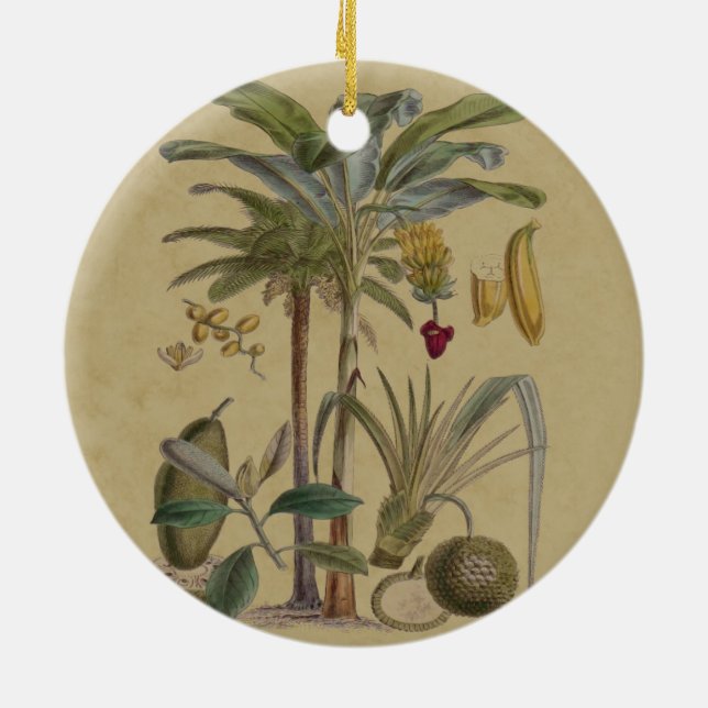 Palm Antique Tropical Fruit Botanical Art Ceramic Ornament (Back)